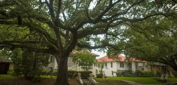 Gentilly Furnished rentals in New Orleans